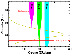Poziom promieniowania ultrafioletowego w związku z występowaniem ozonu w atmosferze (Źródło: NASA, Public domain, via Wikimedia Commons)