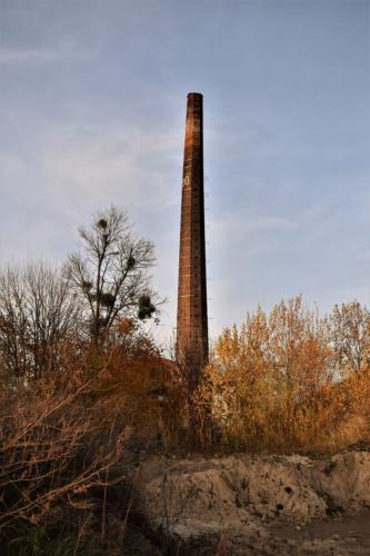 DSC_0194 (2)