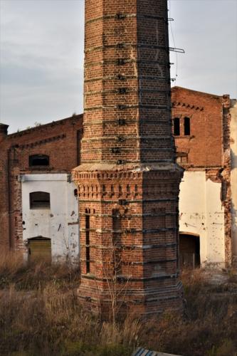 DSC_0209 (2)