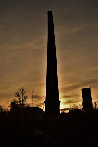 DSC_0218 (2)